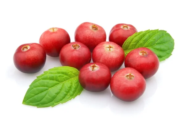 Cranberry dengan daun peppermint — Stok Foto