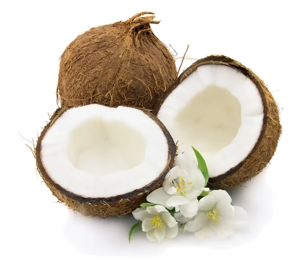 Kokosnöt med jasmin — Stockfoto