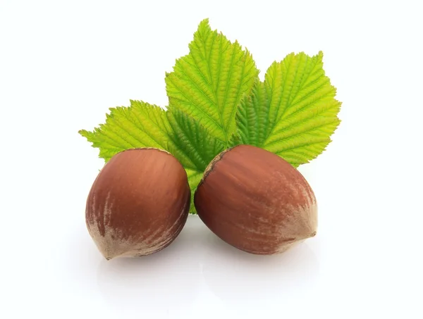 Två hasselnötter med blad — Stockfoto