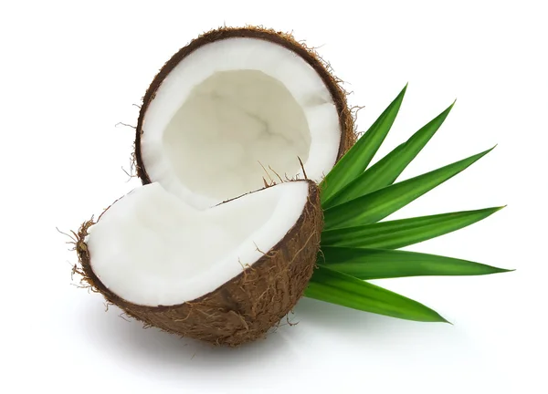 Kokosnöt med blad — Stockfoto