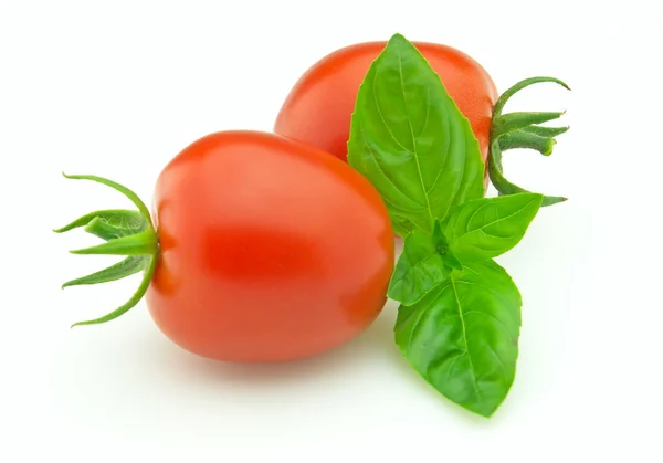 Fresh tomato with basil — Stock Photo, Image