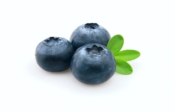 Blueberry Leaves — Stock Photo, Image
