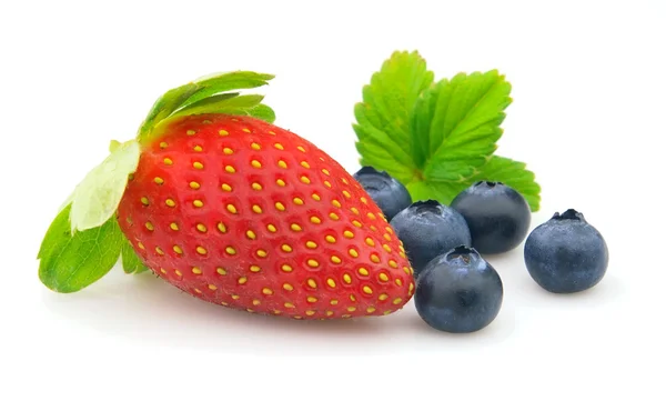 Strawberry Blueberry Leaves — Stock Photo, Image