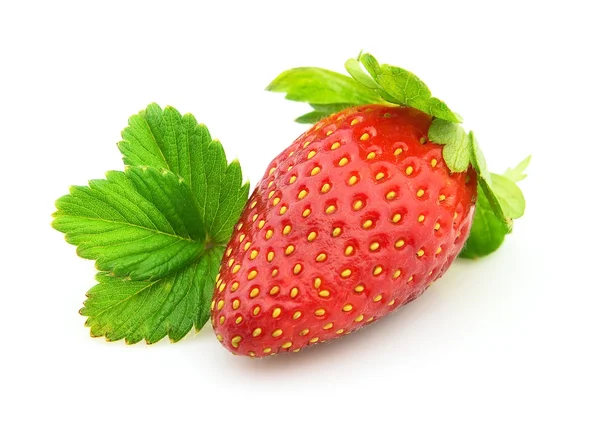 Fresh strawberry with leaves — Stock Photo, Image