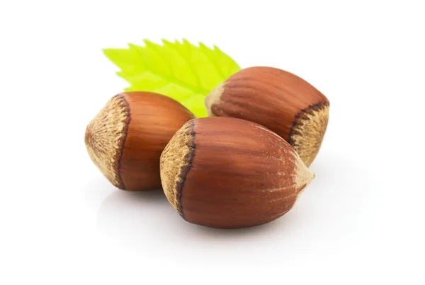 Hazelnuts Leaves White Background — Stock Photo, Image