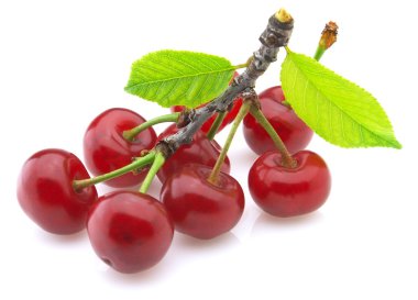 Sweet cherry clipart