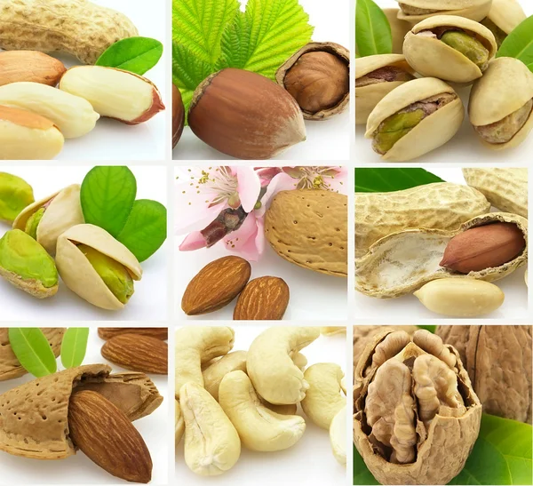 Collage Tasty Nuts — Stock Photo, Image