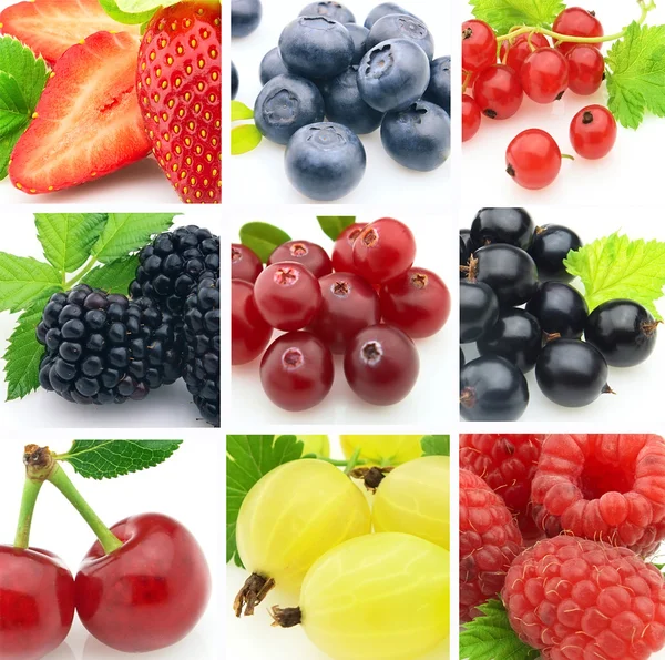 Collage Fresh Berries — Stock Photo, Image