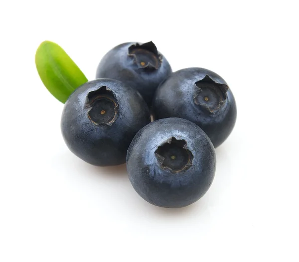成熟的蓝莓 使用它的健康和营养的概念 — 图库照片