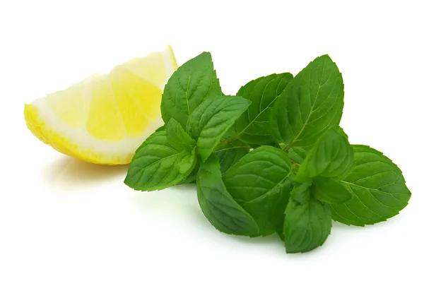 Menta con rodaja de limón — Foto de Stock