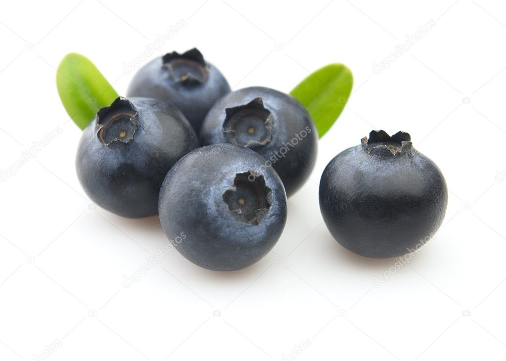Fresh blueberry with leaves