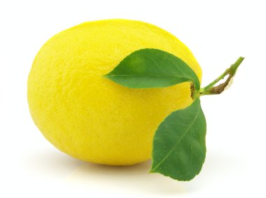 Yapraklı limon