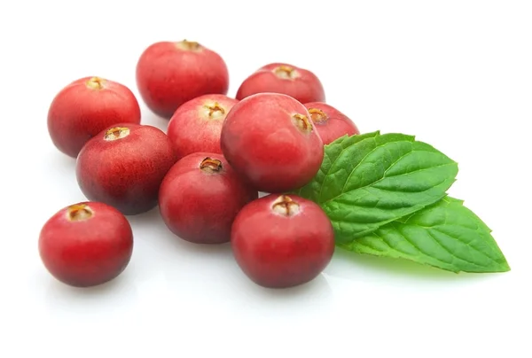 Cranberry with mint — Stock Photo, Image