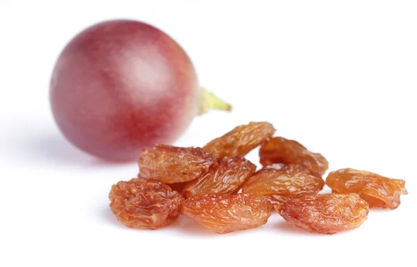 Raisins with grape — Stock Photo, Image