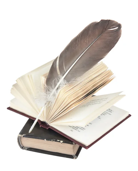 Stack of books and quill — Stock Photo © Observer #5316625