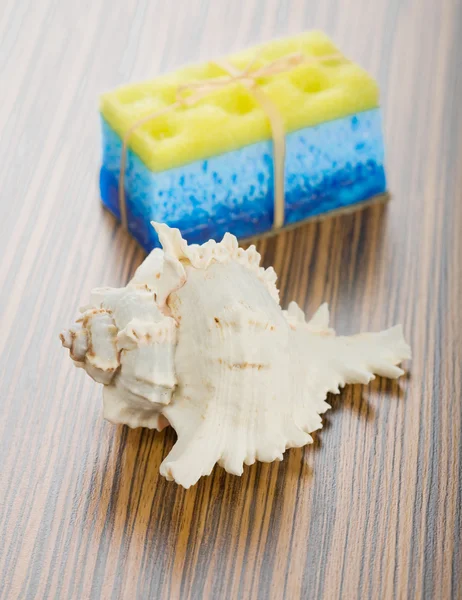 Esponja de banho de sabão e concha — Fotografia de Stock