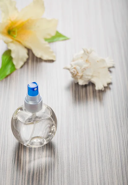 Cockle shell bottle and flower — Stock Photo, Image