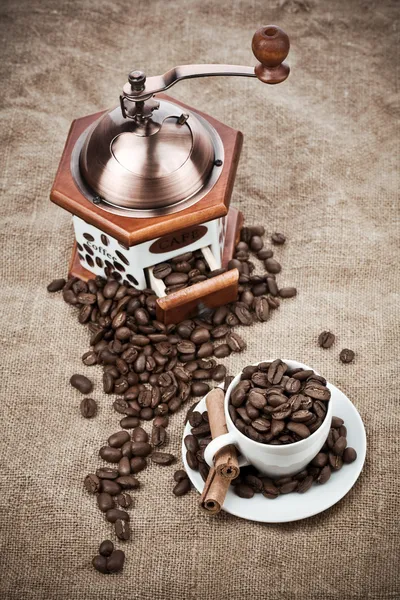 咖啡成分 — 图库照片