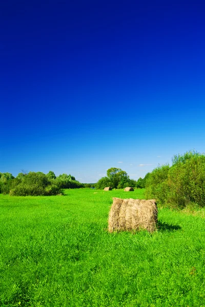 Хэйстек на зеленом поле — стоковое фото