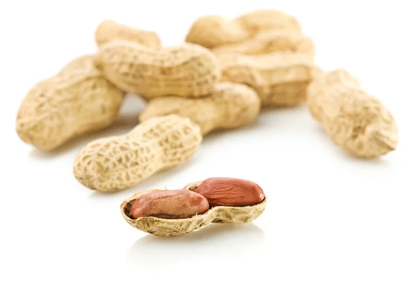 Peanuts isolated — Stock Photo, Image