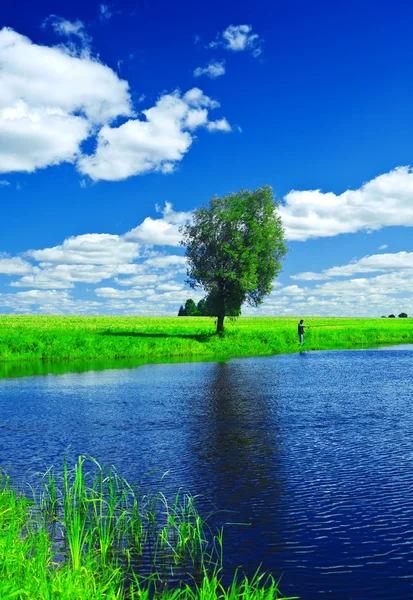 Lake on the summer field — Stock Photo, Image