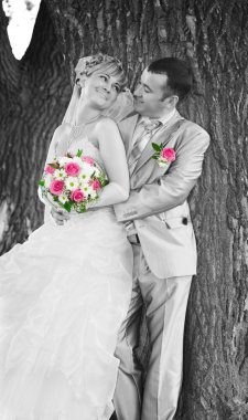 Wedding couple on the background of a tree trunk clipart