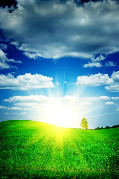 Nascer do sol em um campo verde — Fotografia de Stock