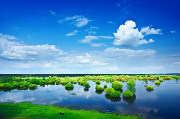 View on a flood field — Stock Photo, Image