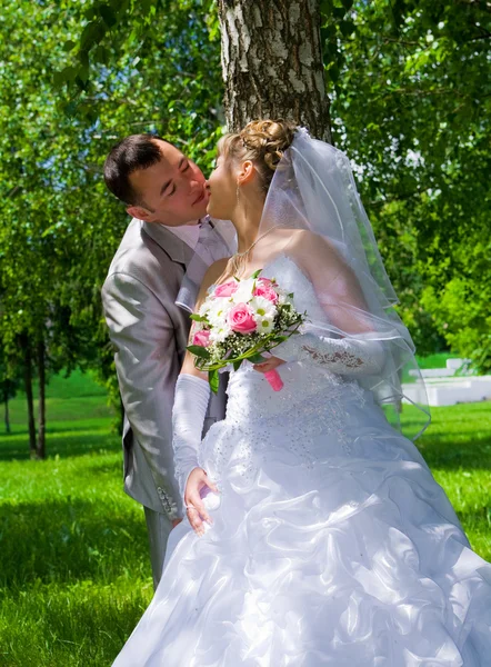 O par de casamento beija perto de um tronco de árvore — Fotografia de Stock