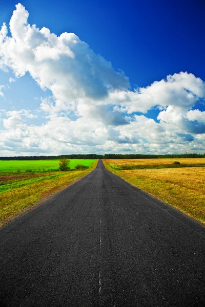 Road on a field — Stock Photo, Image