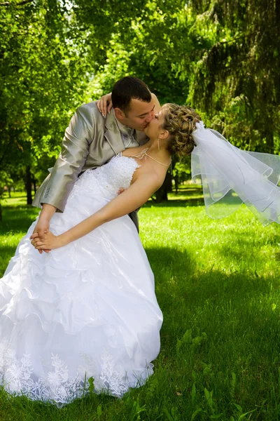 De bruidegom houdt de bruid in park — Stockfoto