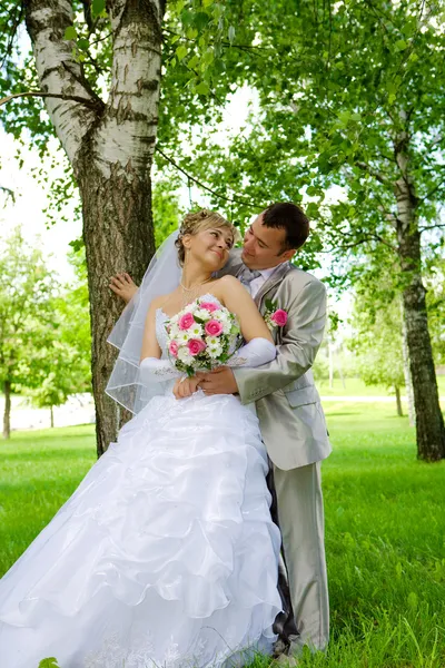 Lo sposo e la sposa in parco vicino a un albero — Foto Stock