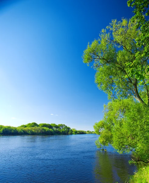 Nehirler doğa — Stok fotoğraf