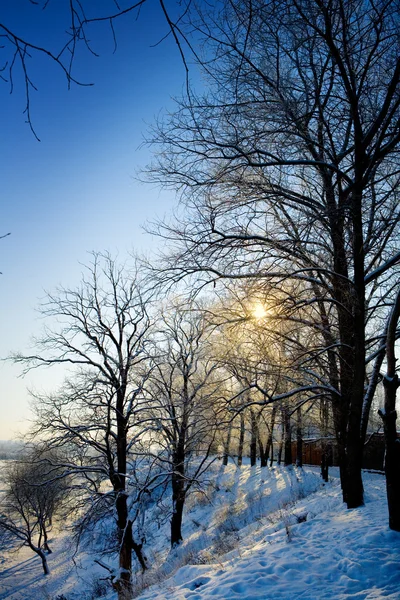 Vista de invierno —  Fotos de Stock