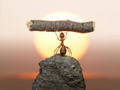 Statue of Labour, ants civilization