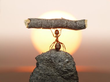Statue of Labour, ants civilization clipart