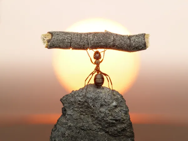 Статуя труда, муравьиная цивилизация — стоковое фото