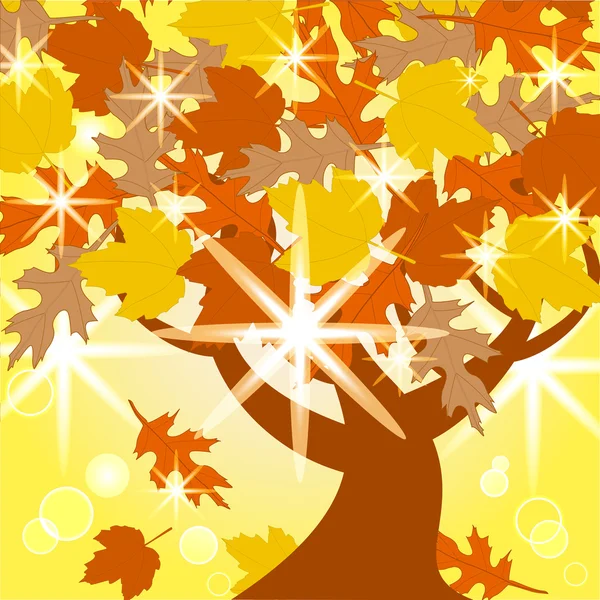 Vectorillustratie van de herfst boom — Stockvector