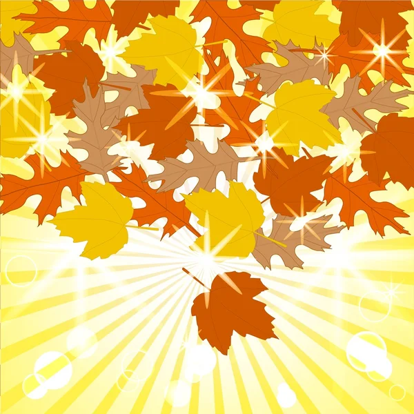 Vektorillustration Der Herbstblätter Auf Sonnigem Hintergrund Eps10 — Stockvektor