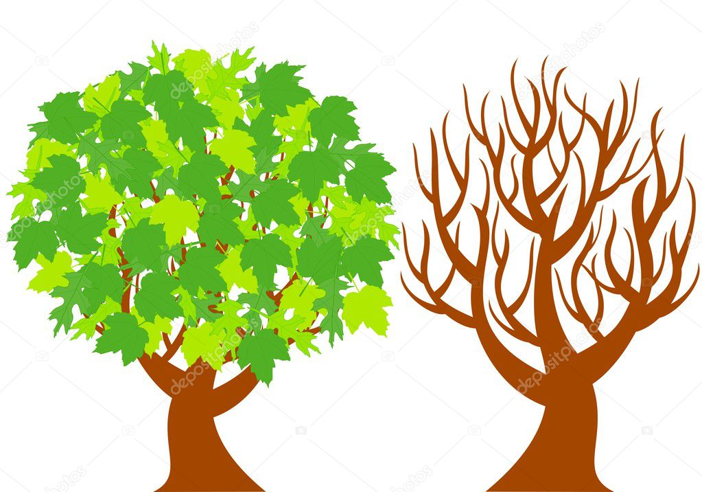 Two trees represent of different seasons