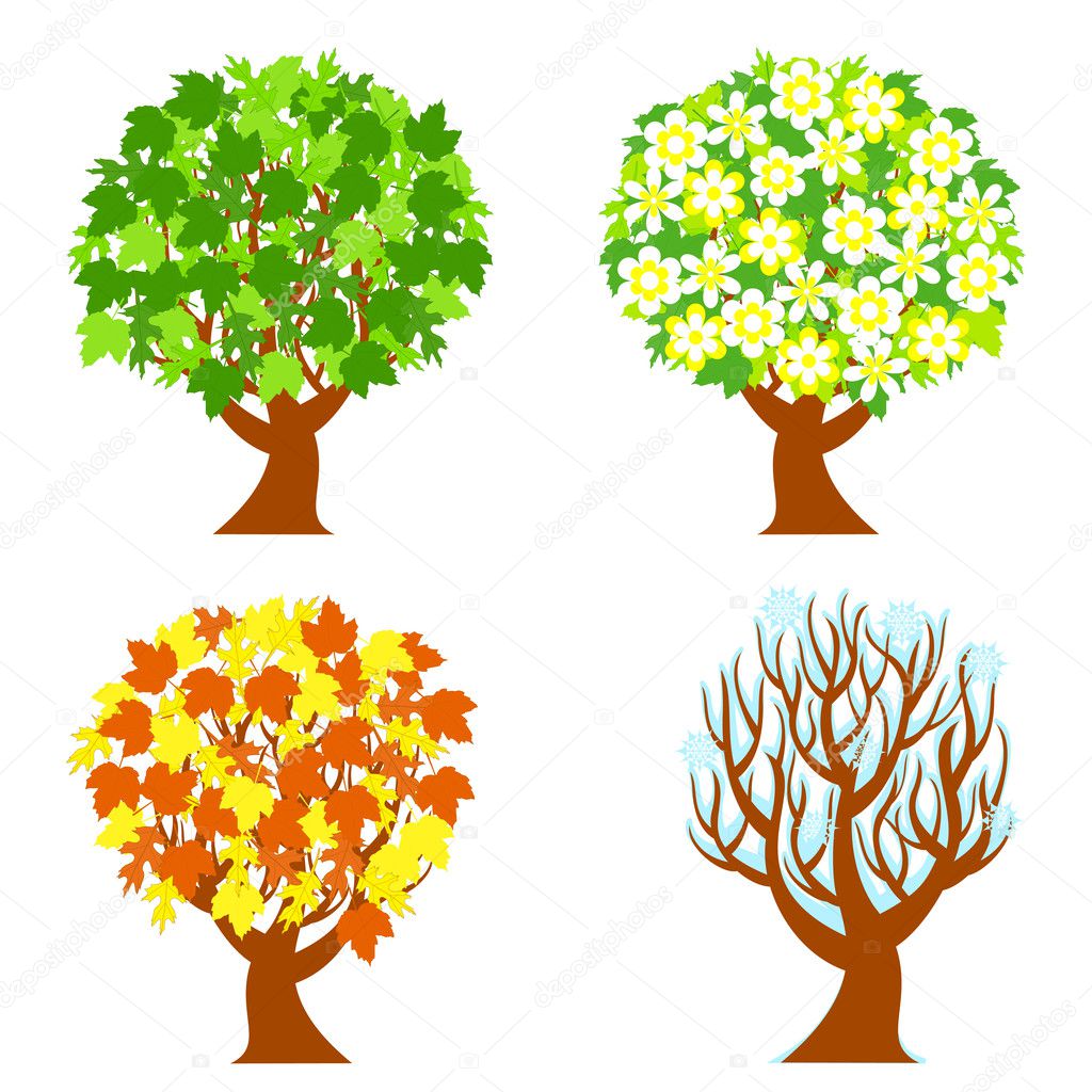 Vector illustration of the four seasons trees isolated on white background.