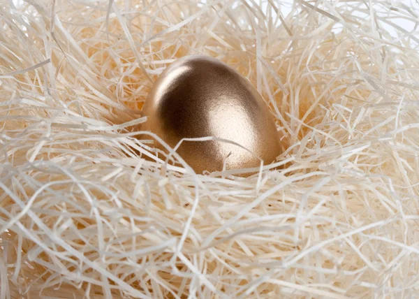 stock image Gold egg in nest