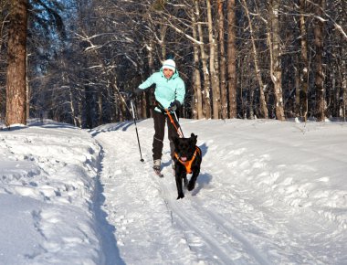 kadın kayak için çalışan köpek gidecek.