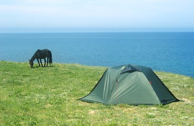 Tourist tent and a horse with the blue sea in a background clipart