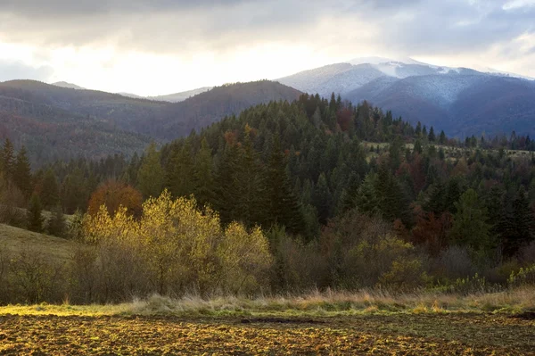 Hösten i Karpaterna — Stockfoto