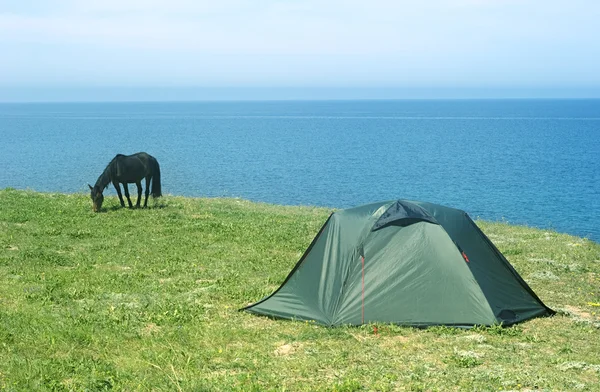 Tenda turística e um cavalo com o mar azul em um fundo — Fotografia de Stock
