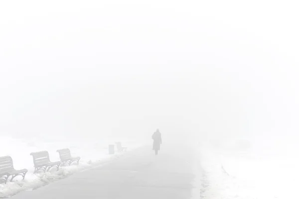 Mlha winter park — Stock fotografie