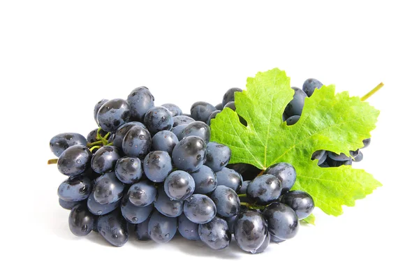 Winogrona — Zdjęcie stockowe