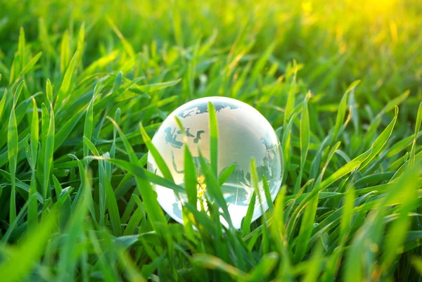 Globe dans l'herbe — Photo