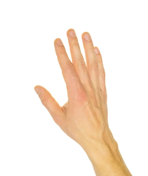 Mão — Fotografia de Stock